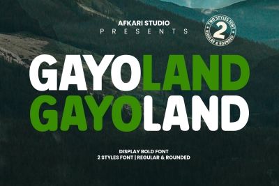 Gayo Land - Display Bold Font