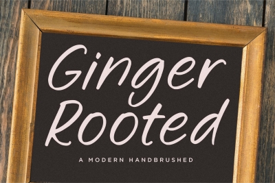 Ginger Rooted Script Font