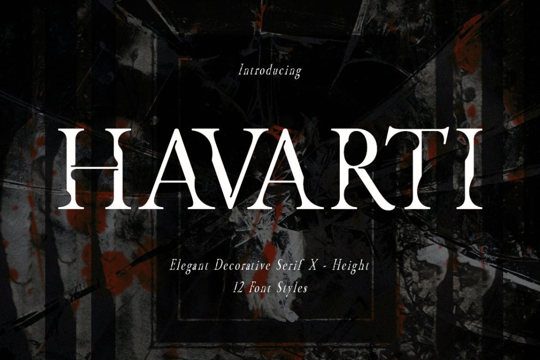Havarti - Modern Serif