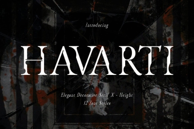 Havarti - Modern Serif