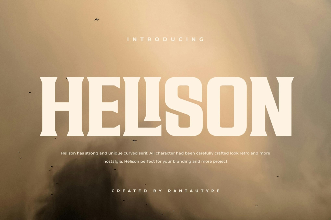 Helison A Unique Strong Serif Font