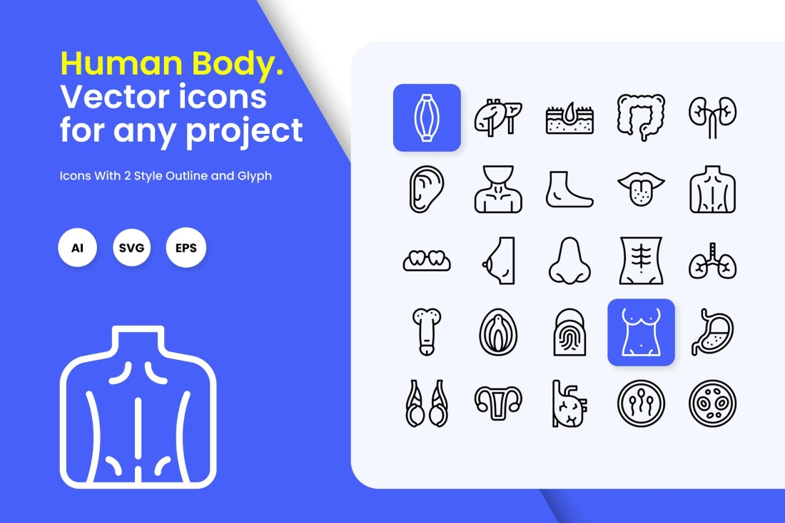 Human Body Icons