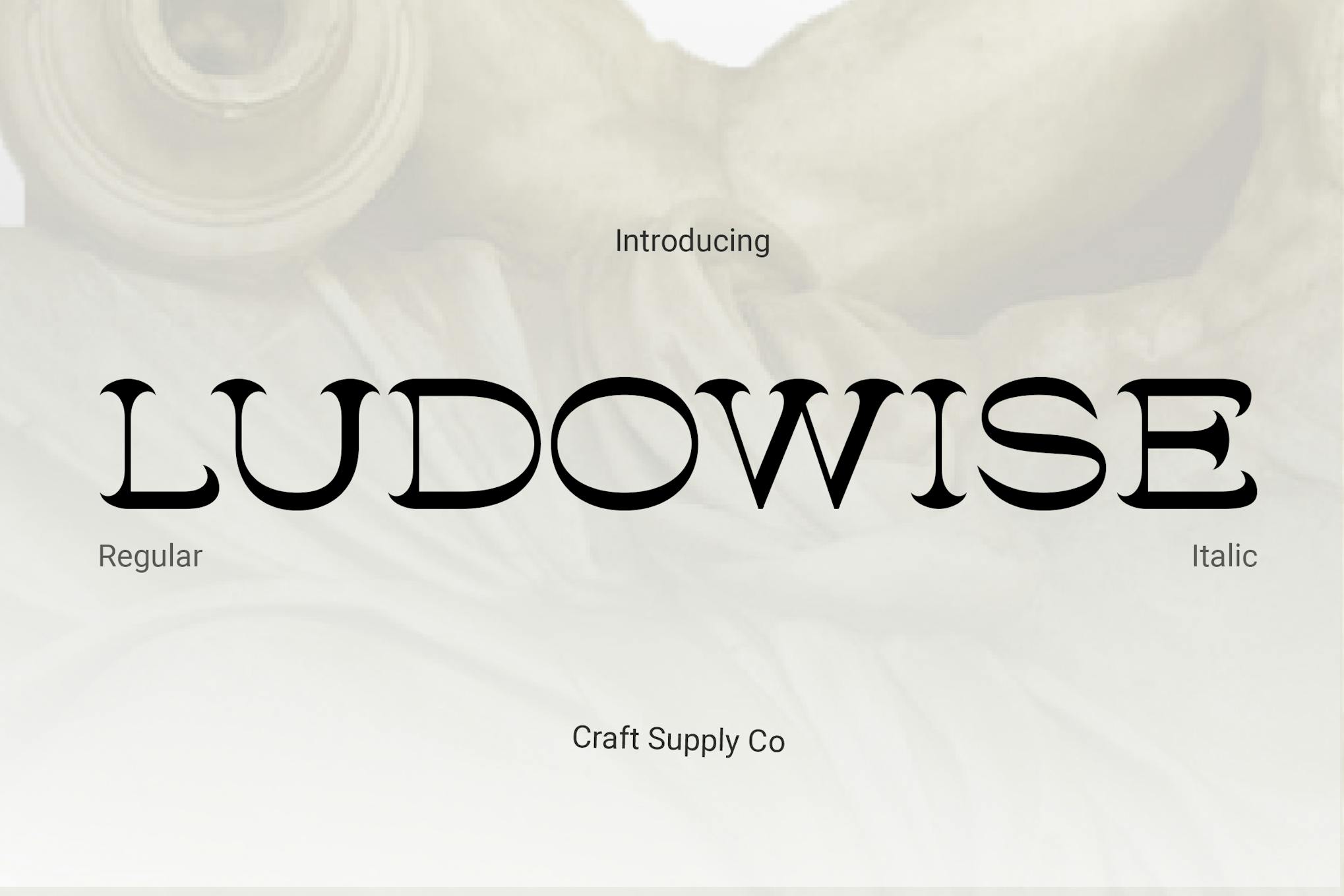 Ludowise – Contemporary Serif
