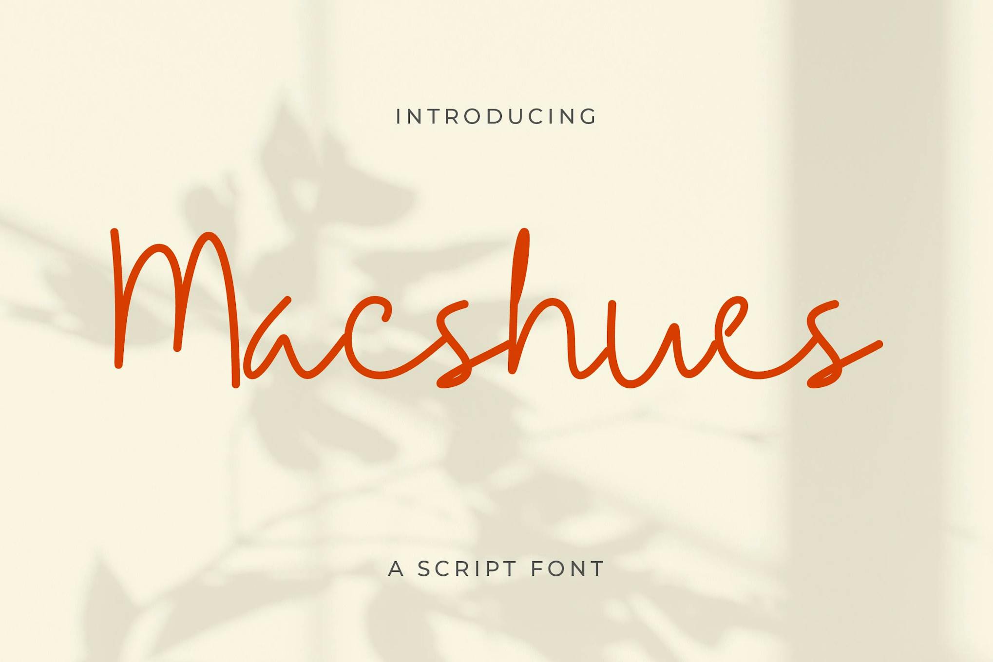 Macshues Minimalist Script Font