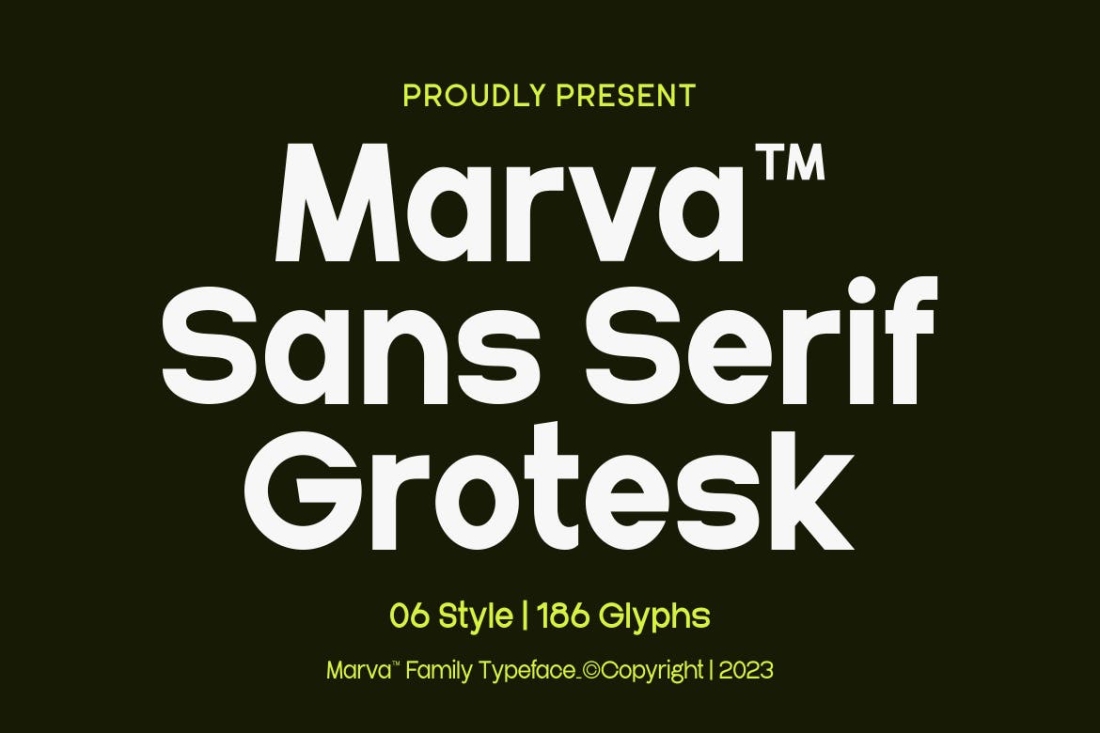 Marva - A Modern Sans Family Font