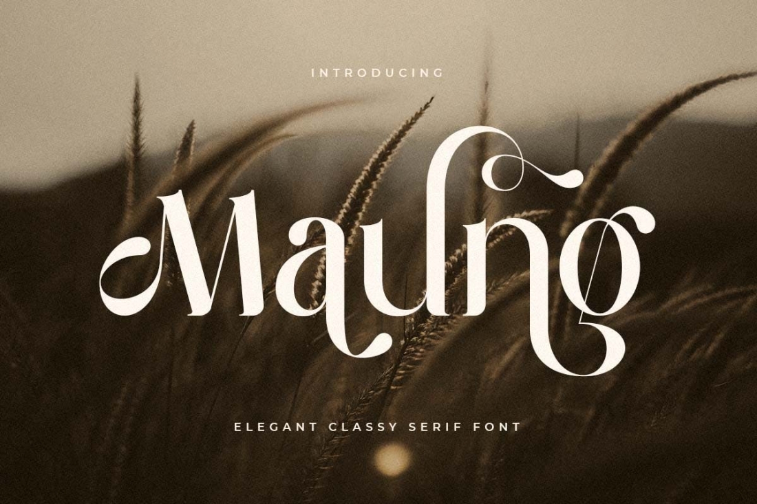 Maung - Elegant Classy Serif Font