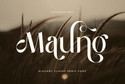 Maung - Elegant Classy Serif Font