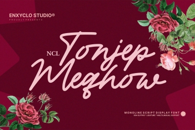 NCL Tonjep Meqhow - Monoline Script Font