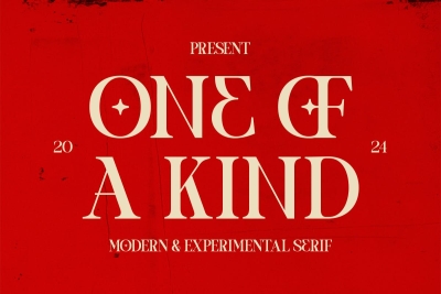 One Of A Kind - Modern Experimental Serif