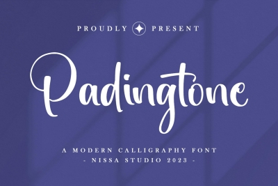 Padingtone Script
