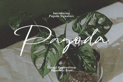 Pagoda - Casual Handwritten