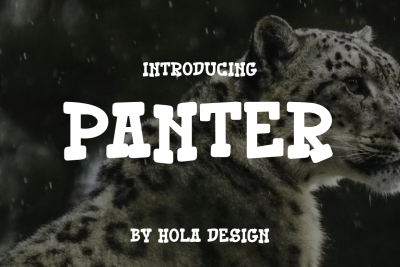 Panter Font