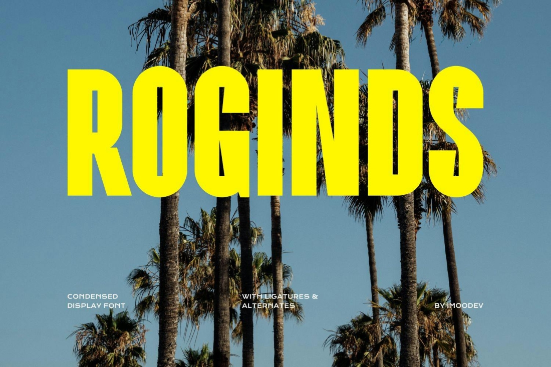 Roginds - Modern Bold Fonts