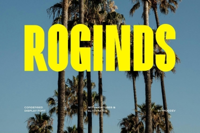 Roginds - Modern Bold Fonts