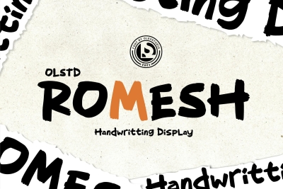 ROMESH olstd - Display