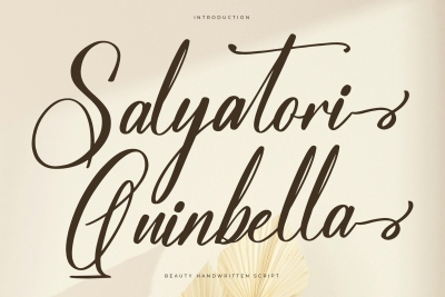 Salyatori Quinbella Modern Handwritten Font
