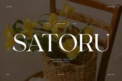 Satoru Elegant Ligature Serif Font Typeface