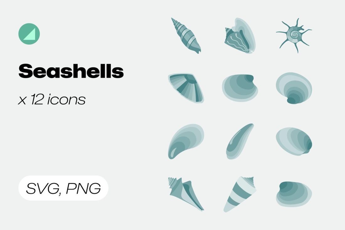 Seashells Color Elements