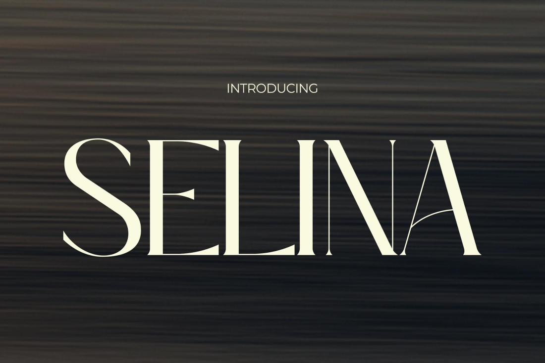 Selina - Modern Elegance Font