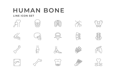 Set Line Icons of Human Bones