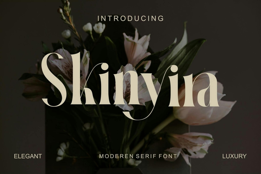 Skinyira Modern Serif Font