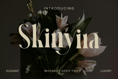 Skinyira Modern Serif Font