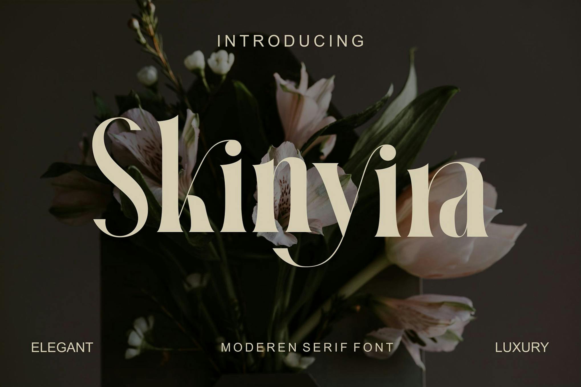 Skinyira Modern Serif Font
