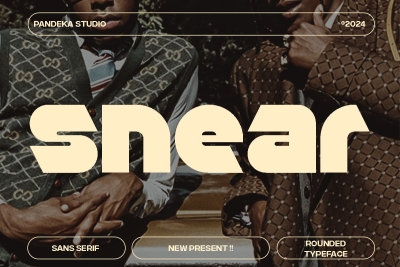 Snear - Modern Sans Display Font