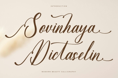 Sovinhaya Dictaselin Modern Calligraphy Font