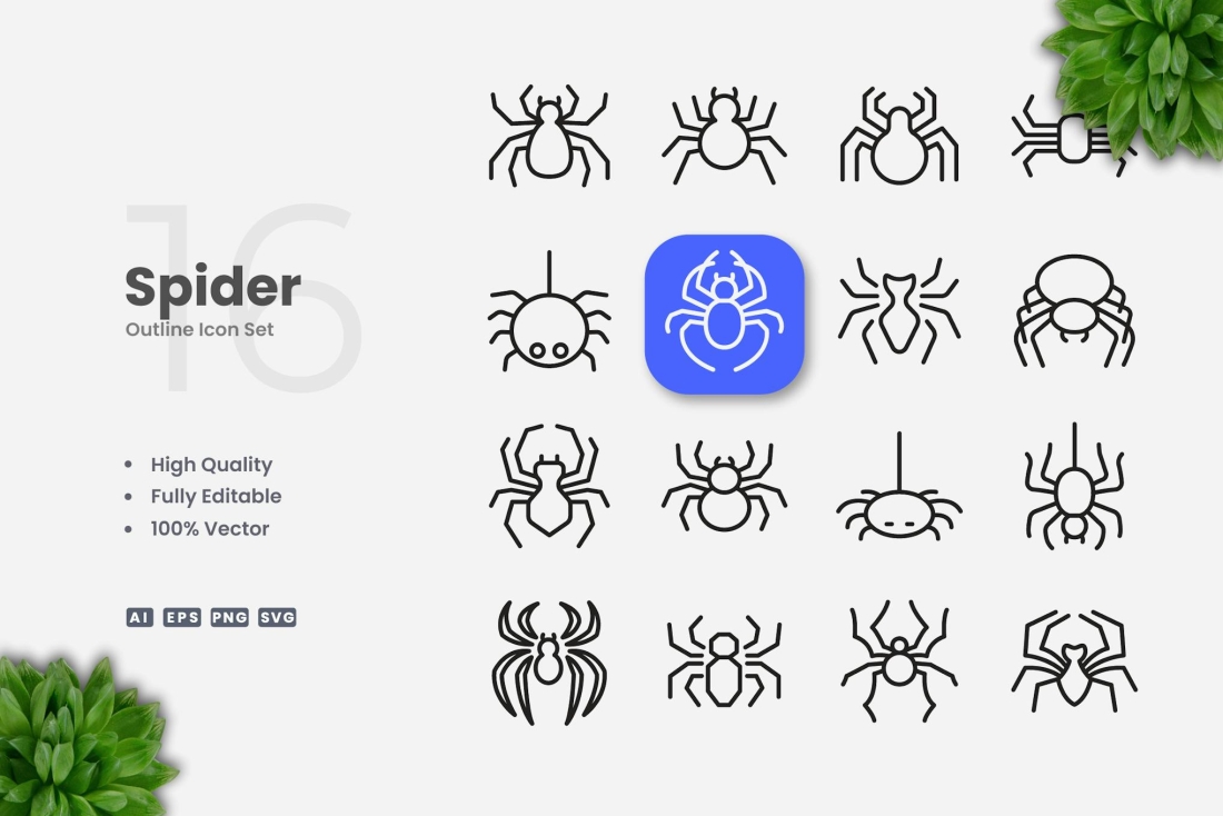 Spider Outline Icons