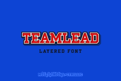 TeamLead