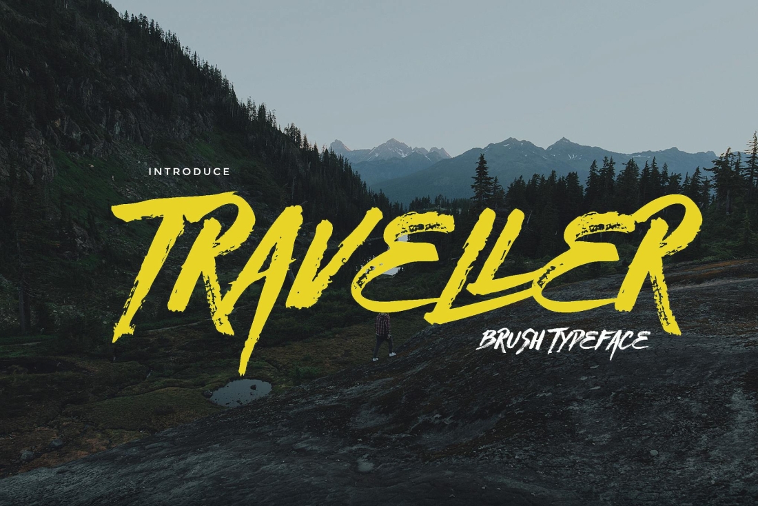 Traveller