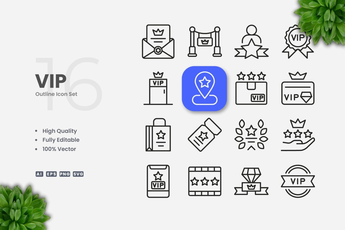 Vip Outline Icons