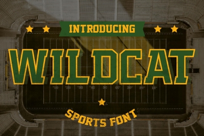 Wildcat - Varsity Sport Typeface