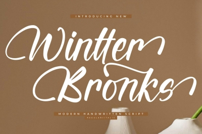 Wintter Bronks Modern Handwritten Script Font