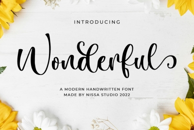 Wonderful Script