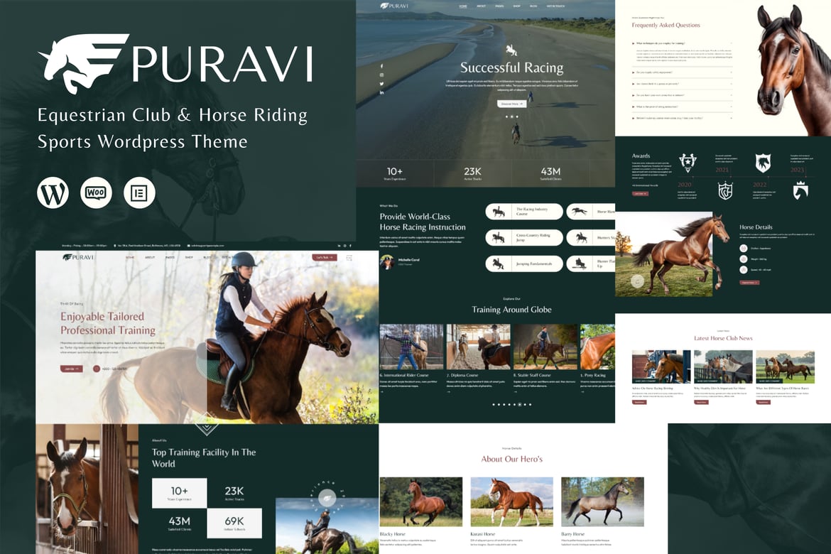 Puravi – Equestrian Club & Horse Riding Theme 1.0.9