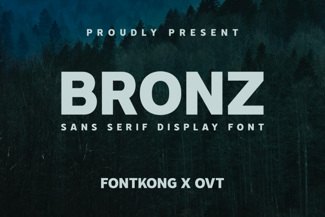 Bronz - Sans Serif Display Font