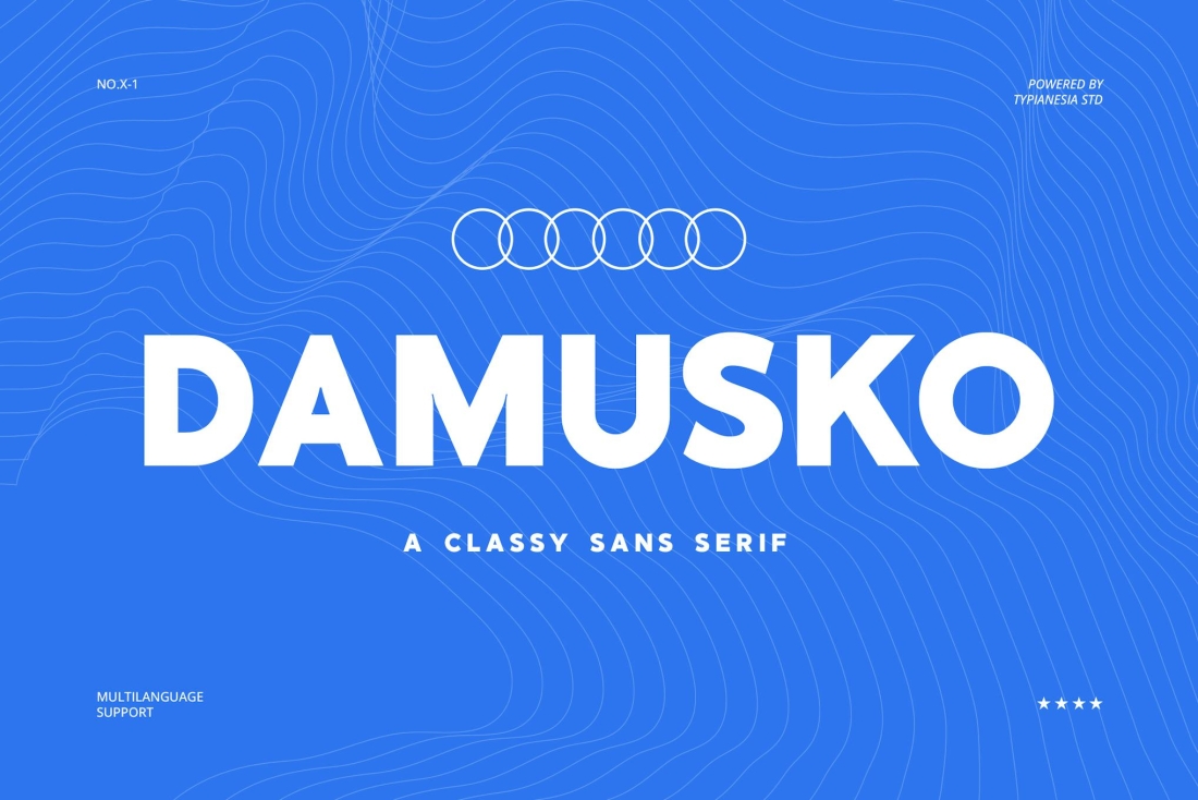 Damusko - Classy Sans Serif