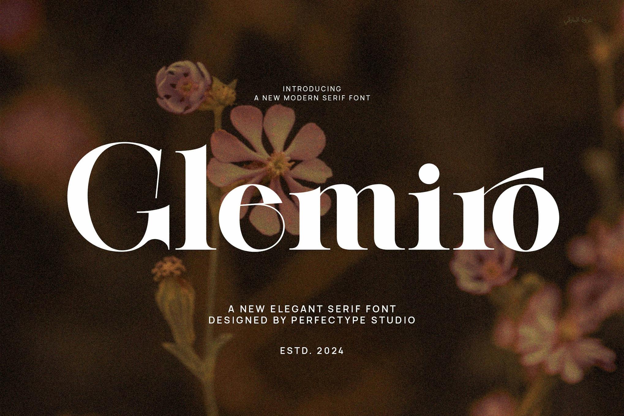 Glemiro Modern Elegant Serif Font Typeface