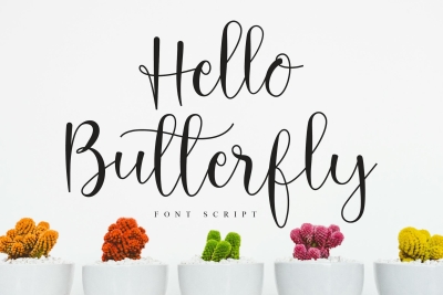 Hello Butterfly