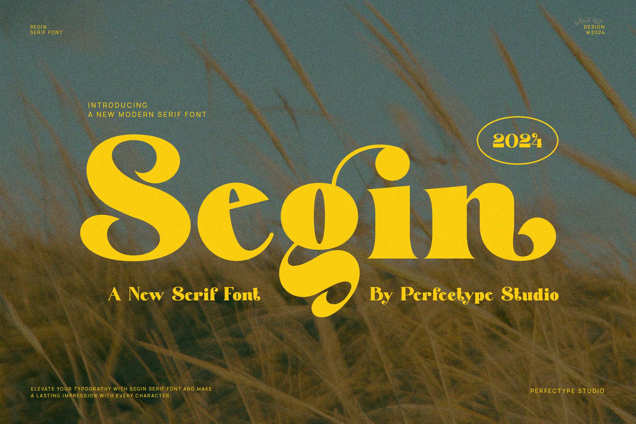 Segin Modern Vintage Serif Font Typeface