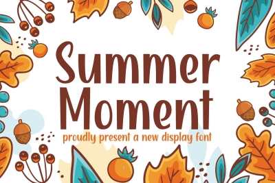 Summer Moment - Cute Display Font