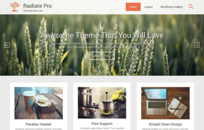 Radiate Pro 2.3.4