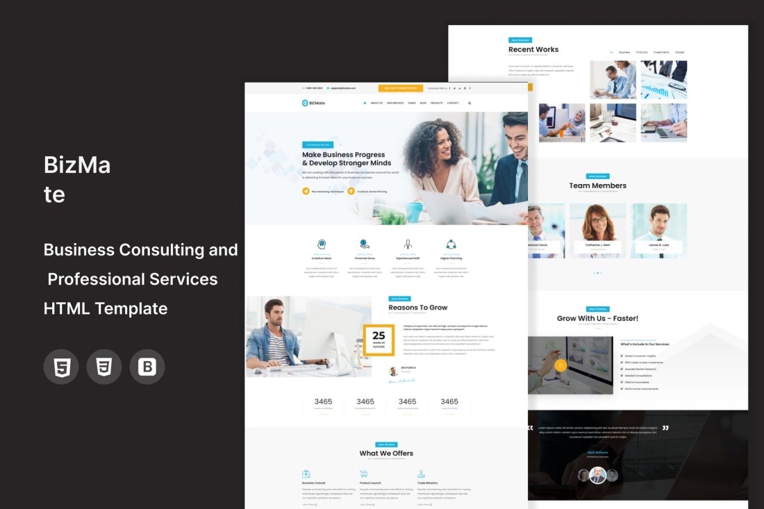 BizMate - Consulting and Profession HTML Template