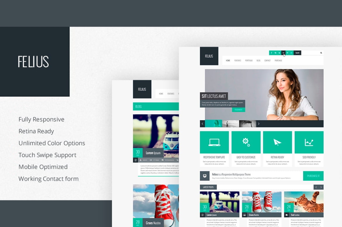 Felius - Responsive Multipurpose Template