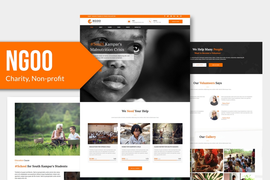 NGOO - Charity, Non-profit, HTML Template RS