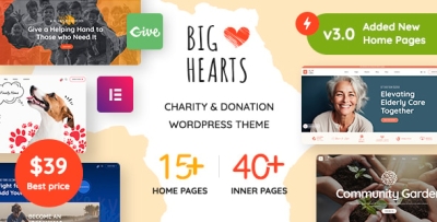 BigHearts - Charity & Donation WordPress Theme 3.1.4