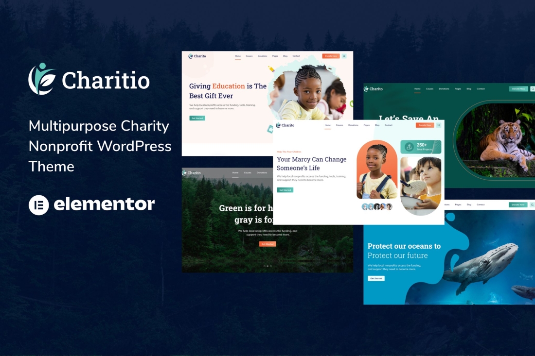 Charitio - Multipurpose Charity WordPress Theme 1.0.6