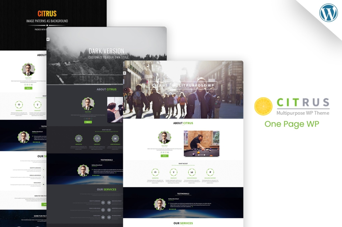 Citrus - One Page WordPress Theme 3.7